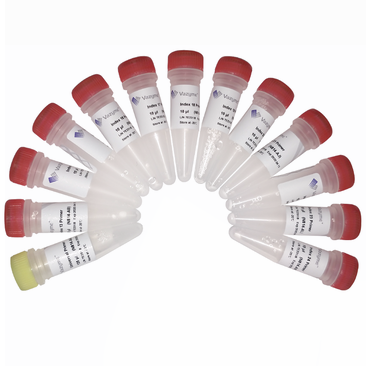 VAHTS Small RNA Index Primer Kit for Illumina N813-N816